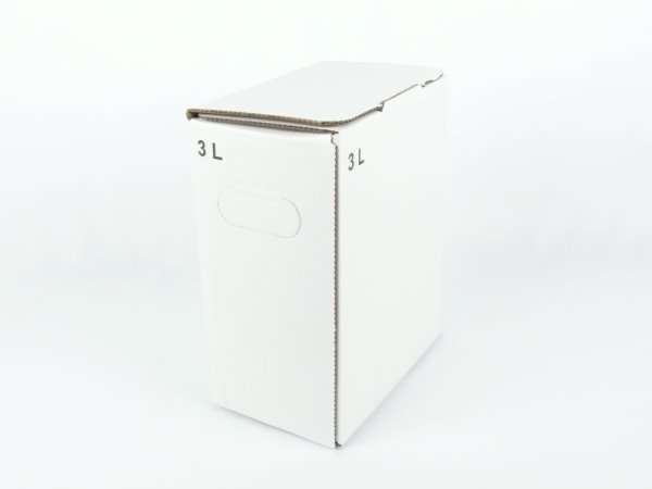 Karton Bag in Box 3 Liter weiß, Saftkarton, Faltkarton, Apfelsaft-Karton, Saftschachtel, Schachtel. - 2